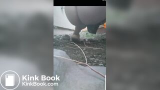 My Friend Poops For Me