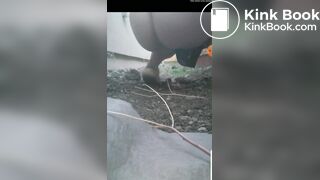 My Friend Poops For Me