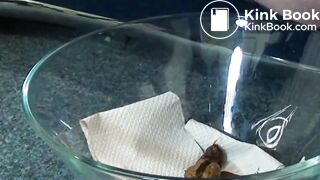 Czech Pornstar Rado Viker shits in a bowl