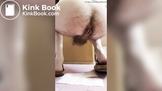 Scat 19 years old behind