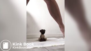 Sexy Milf Big Shits on Toilet