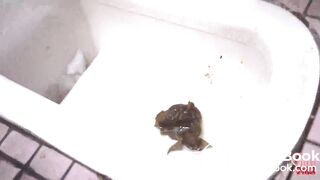 Japanese Ladies Poop Voyeur - video 84