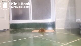 Perfect Feet Creamy Poo