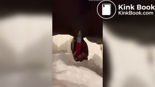 Shy ebony anal play and shit