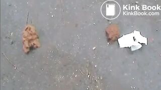 Coprophilia - video 89