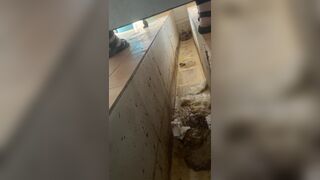 Chinese girl ditch toilet poop - video 3