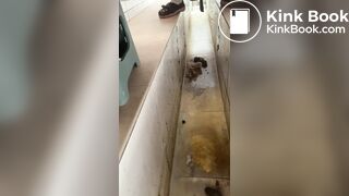 Chinese girl ditch toilet poop - video 3