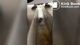 Chinese girl ditch toilet poop - video 3