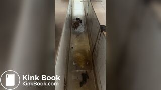 Chinese girl ditch toilet poop - video 3