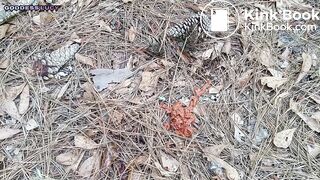 Poop in the woods - video 5