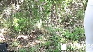 Pooping in the woods..