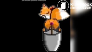 Pooping Fox