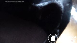 Cat sniffing girl. Shit also comes out, ... edition