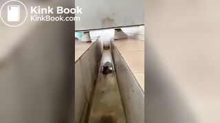 Chinese girl diarrhea - video 39