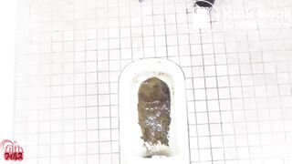 Japanese Ladies Poop Voyeur - video 44
