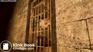 (Quickie) Classic RE4 Ashley Dumps in a Bucket