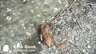 White girl poops outside near a farm