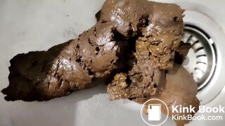 Girl takes huge shit in another sink and huge farts