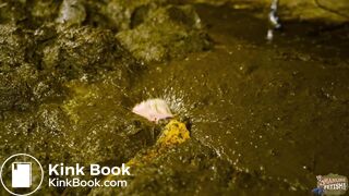 Gossip Girl Lyndra - Cowshit fuck