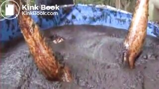 Thai girl taking a bath in cow shit.