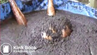 Thai girl taking a bath in cow shit.