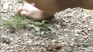 babe in the woods 091s