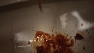 Toilet Destroyed :-D