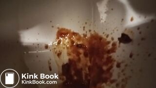 Toilet Destroyed :-D