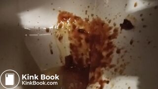 Toilet Destroyed :-D