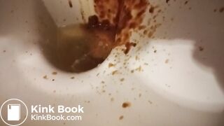 Toilet Destroyed :-D