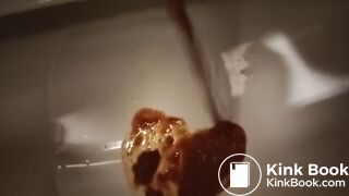 Toilet Destroyed :-D