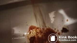 Toilet Destroyed :-D