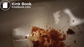 Toilet Destroyed :-D