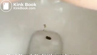 Coprophilia - video 62