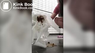 crazy girl smears her shit on public bathroom