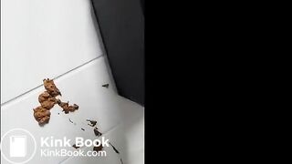 crazy girl smears her shit on public bathroom
