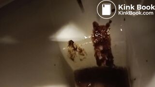 good day, porcelain :-D