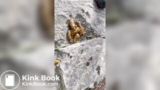Le caca de la randonnée