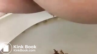 Big soft poop - video 2