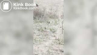 Desi aunty pissing - video 30