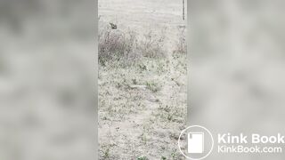 Desi aunty pissing - video 30