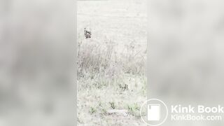 Desi aunty pissing - video 30