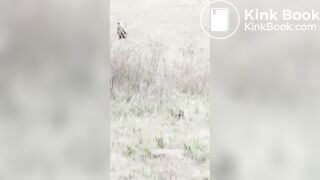 Desi aunty pissing - video 30