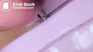 Some pretty flowers 2