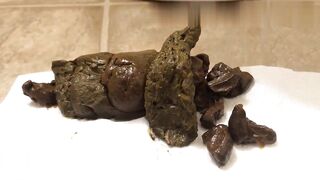 poop_toilet_