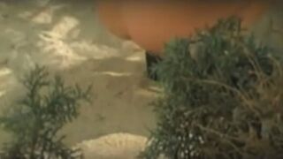 3 girls drop logs on beach