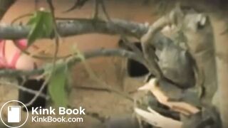 3 girls drop logs on beach