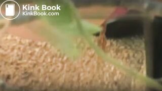 3 girls drop logs on beach