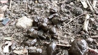 The Bitch Shits (and Farts) in the Park