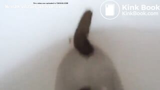 Coprophilia - video 57